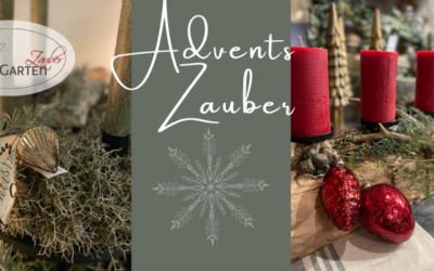 Advents-Zauber