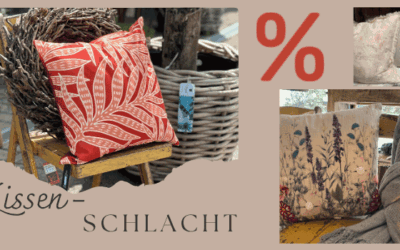 Kissen-Schlacht mit Prozenten